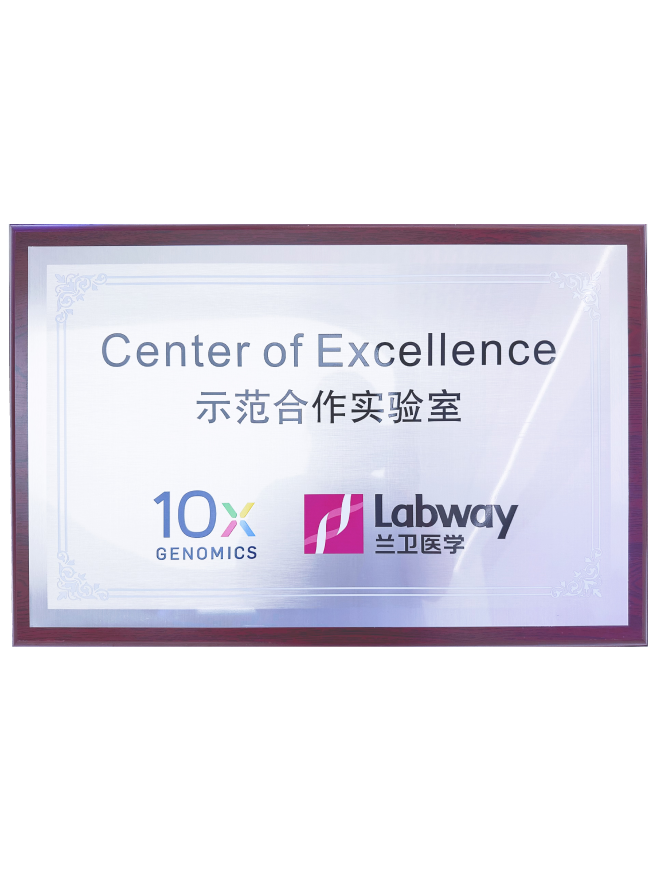 03 ǲ(й)ٷվ10Xģʵ.png